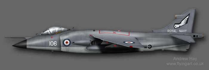 Sea Harrier FRS.1 899 NAS